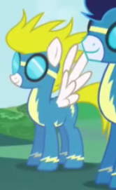 One of the Wonderbolts. Rumors have said that she is dating Hurricane Force, the leader of the Wonderbolts.