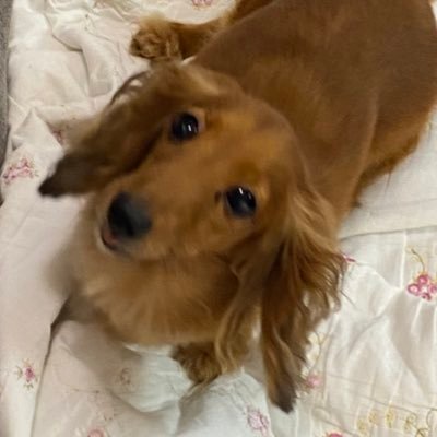 05410WIMPS4645's profile picture. RADWIMPSマインドできてる関西住み。カラオケとか行くの好きです、仲良くしてください🙏/RAD関連のツイート多めです