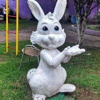 Out of Context Xalapa (@outofcontextxa) 's Twitter Profile