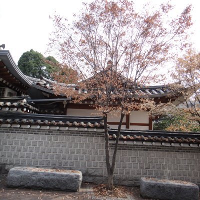 vincentmars1's profile picture. 