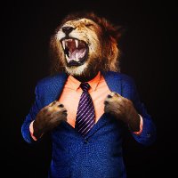 Goliath Options Trading (@goliathoptions) 's Twitter Profile