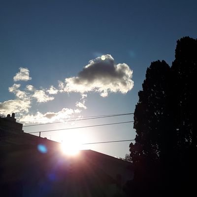 resnonverba10's profile picture. 