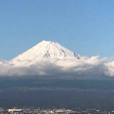 EqVyyectXbvQfUR's profile picture. 