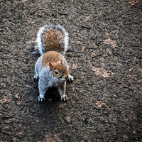 Steg0010 (@steg0010) 's Twitter Profile
