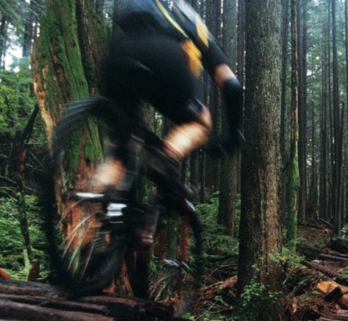 chainringtv's profile picture. Hand picked mountain bike videos from around the web.