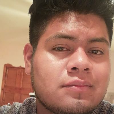 LuisGustavoPr18's profile picture. 