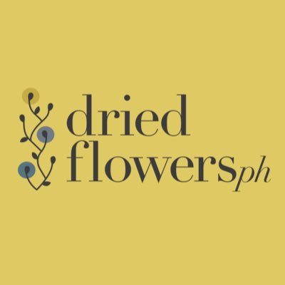 Custom, designer's choice, and creative dried flower arrangements for every occasion.