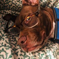 Ravenicus (@ravenicus2) 's Twitter Profile