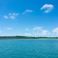csstyle (@csstyle_therapy) 's Twitter Profile