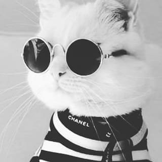 purplemoonhex's profile picture. 🌸🌼