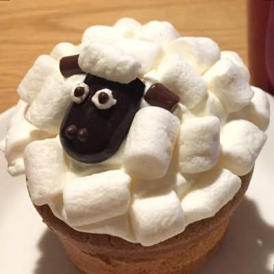 gika_ch's profile picture. 肢体不自由のある児童生徒の通う特別支援学校に勤務しています。スイッチ教材の作り方などを発信していきます。Share knowledge and skills
https://t.co/o4R0AOAMUt
#ICT　#AT　#AAC　#SpecialNeeds　#特別支援　#スイッチ教材