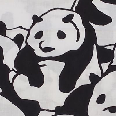 senjiro2018's profile picture. 𝐈♥🐼🐱🌷︎🐠😊   ＤＭ❌                                            

Unbeaten by rain  Unbeaten by wind