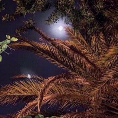 يا فتاح بلا مفتاح .. يا عطاي بلا منه اختم لي بالصلاح .. وافتح لي باب الجنة