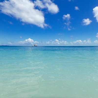 sidejob18's profile picture. 副業案件など紹介しています！ 気になる方はコチラへメッセージください→https://t.co/NL9aiXNREb  #副業 #投資 #物販