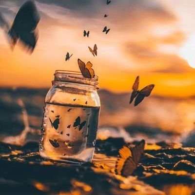 itsnatureway's profile picture. Lets enjoy Nature's of love and amazing pics 😊❤️ 
@itsnatureway 👈 Instagram