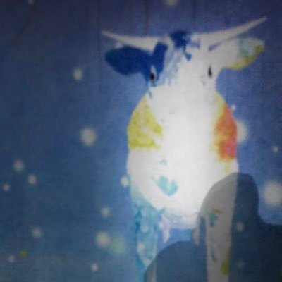 cowkii669's profile picture. 