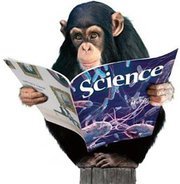 FrankTwisk's profile picture. 