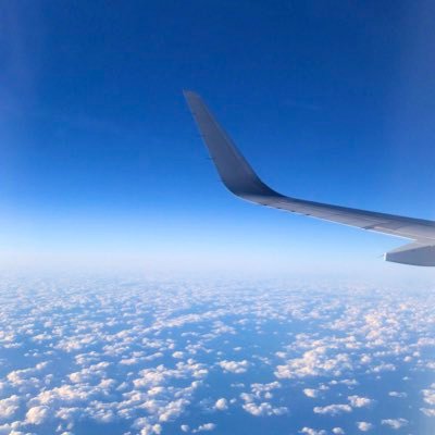 shicgi731's profile picture. 新潟