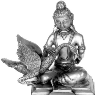 CraneLcf's profile picture. 