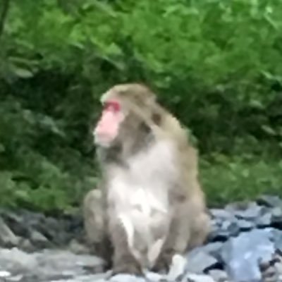 細長い下山部員さんのプロフィール画像
