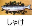 毒舌猫好き自転車男。愛猫 ちょびとびっけとなたねを扶養中