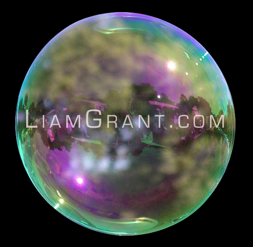 Liam Grant