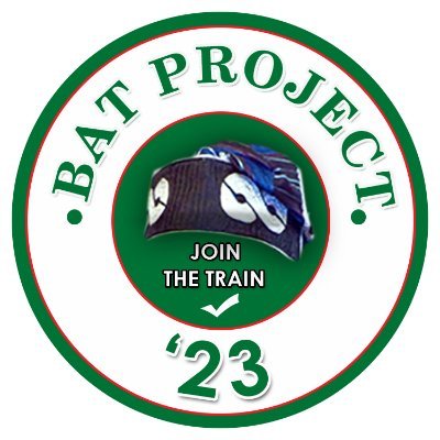 BAT PROJECT '23 IS A GROUP OF GREAT MINDS WHO BELIEVED IN THE MENTORSHIP/LEADERSHIP STYLES OF HIS EXCELLENCY ASIWAJU BOLA AHMED TINUBU AND 2023 PROJECT....