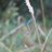 10Parisee's profile image