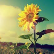 PiPi weChele (@prec_mwe15) 's Twitter Profile