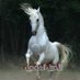 الأصيل 🌼 🦄🌼 المحجل (@alaseelmohjl) Twitter profile photo الأصيل 🌼 🦄🌼 المحجل (@alaseelmohjl) Twitter profile photo