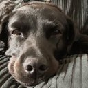 noah dexter - @noahdexter6 - Twitter