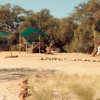 spitzkoppetente's profile picture. Luxury Tented camp in Namibia located on the bank of dry Spitzkoppe river