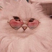 🌻 (@apawonc) 's Twitter Profile