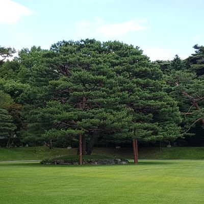 깨시민으로 사는건 쉬운일은 아닌듯... 좋은 생각만 하고 평화롭게 살고 싶다.
태도가 본질이다. 또한
부패한 권력은 결코 유능할 수 없다.

새로운미래 응원합니다.