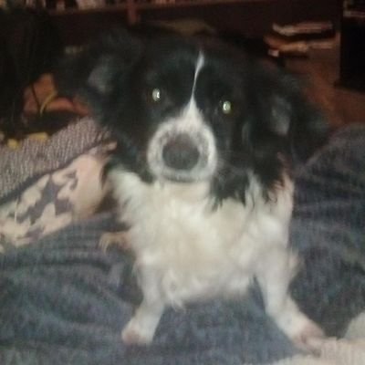 GingerRedBush's profile picture. We run this