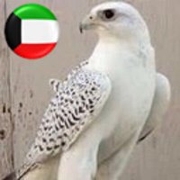 م. هيف العازمي (@h_alazmi81) 's Twitter Profile