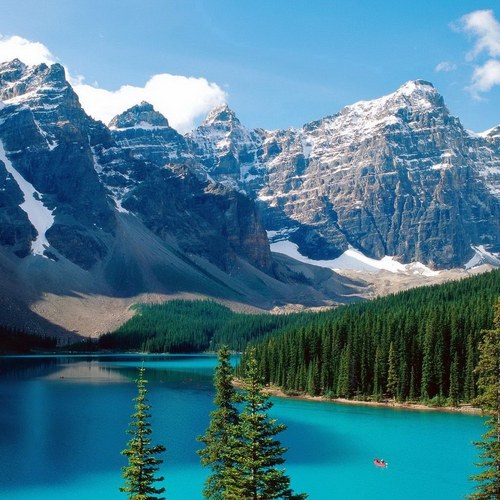 savepharma's profile picture. 