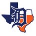 Dallas Tigers North Collegiate -2023 (@DTigers_2023) Twitter profile photo