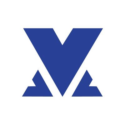 Thinking of investing or setting up a business in Africa or the Diaspora? You should talk to us! ☎️ +1 (646) 585-5008 📩 ask@volitionblue.com