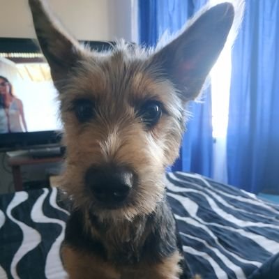 coto102's profile picture. lol