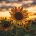 Joni Mashburn - @MashburnJoni - Twitter