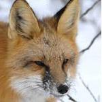 evolution249's profile picture. 歩み