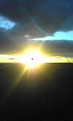 ogachi1024's profile picture. 