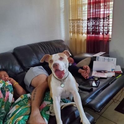 LediaFernandez's profile picture. soy feliz