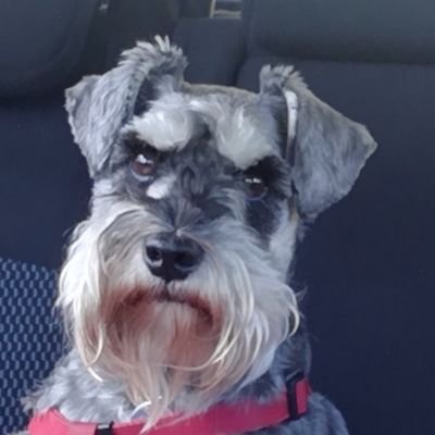 mcbriartyc's profile picture. 