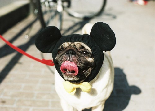 potaktak's profile picture. 