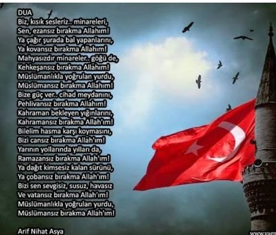 faltunkilic's profile picture. Kur'an, Sünnet, Ümmet, Vatan, Millet, bayrak!🇹🇷 Gerisi teferruat... Azim, kararlılık, sabır üçlüsü; Beşiktaş aşığı; paradan anladığını sanan eco-finansçı...