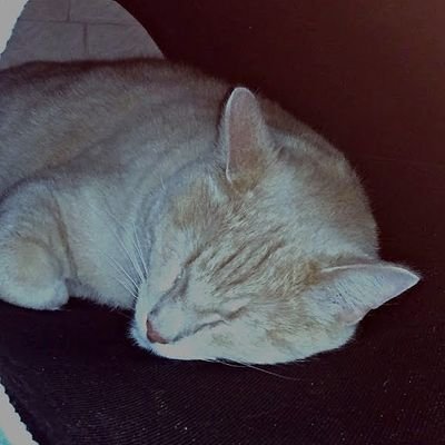 AedennH's profile picture. back on the acc