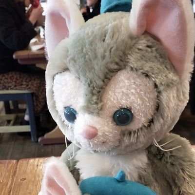 ぽんぽんさんのプロフィール画像