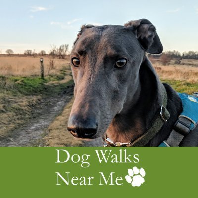 Dog Walks Near Me 🐾 is a website aimed at helping dog owners find excellent countryside dog walks. 🐕